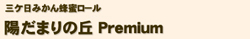 陽だまりの丘　Premium